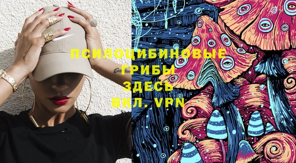крисы Алексеевка